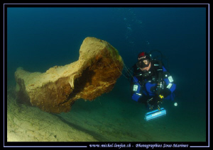 In winter, as the water is colder, the viz in our lakes i... by Michel Lonfat 
